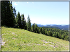 foto Panorama dal Monte Verena